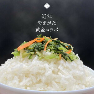 y傤Ђz ߍ] (݂Â) 250g ^ 1 ⏯i V Y   R` Γc n  Ђ ̕ ݖ ɂ ނ т̂  