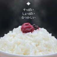 【無添加】昔ながらのしょっぱい梅干し 甘くない すっぱい 赤しそ漬け 国産 山形 うめぼし 梅干 懐かしい…