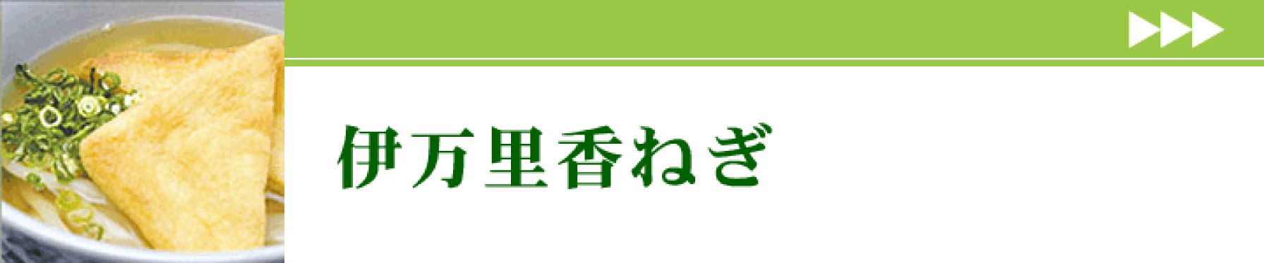 伊万里香乾燥ねぎ