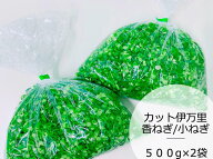 産地直送【大人数用】国産 佐賀県産 カットネギ 1kg 1000g 伊万里香ねぎ 小ネギ きざみネギ 刻み ネギ カ…