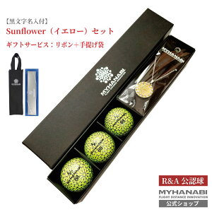 St{[  2cƓo MYHANABI H2 }Cnir NEWlbNX}[J[Zbg F sN zCg CG[ fB[X 򋗗Abv v[g Mtg  J[{[ 