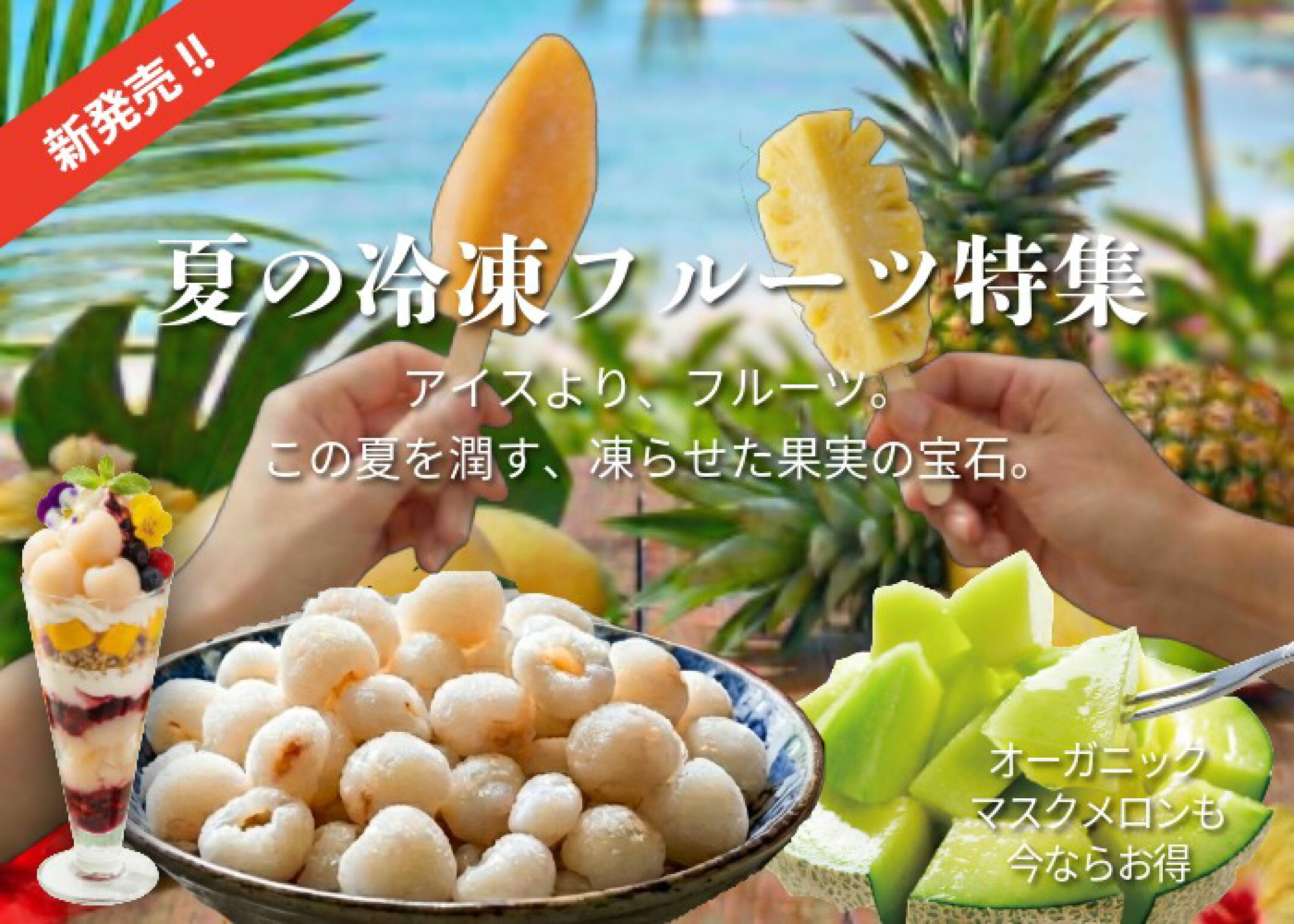 夏を乗り切る魅惑のフルーツ特集