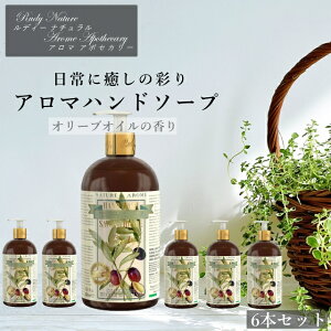 fB RUDY Nature&Arome Apothecary lC`[A} A|ZJ[ 6{Zbg Hand Wash nhEHbV nh\[v I[uIC I[u A} tOX  CeA v[g