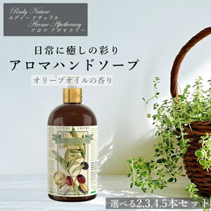 fB RUDY Nature&Arome Apothecary lC`[A} A|ZJ[ Hand Wash nhEHbV nh\[v I[uIC I[u A} tOX  CeA  v[g Mt
