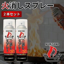 【P5倍!! 3/4~11 ※要エントリー】丸山製作所 火消しスプレー 480g 2本セット エアゾール式簡易消火具 日本製 家庭用 防災 初期消火 火事 消化スプレー