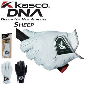 キャスコ ゴルフグローブ DNA SHEEP シープ メンズ 左手用 羊革 手袋 GF-2012 【メール便配送】