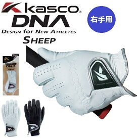 右手用 キャスコ ゴルフグローブ DNA SHEEP シープ メンズ レフティ 羊革 手袋 GF-2012R 【メール便配送】