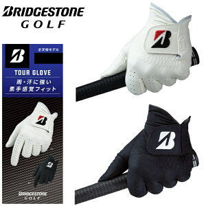 �u���a�X�g�� �S���t �O���[�u �c�A�[�O���[�u �l�H��v ����p �����Y BRIDGESTONE GOLF TOUR GLOVE GL2602 �y�|�X�g�����z���z