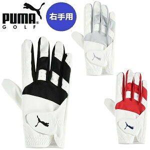 Ep v[} St O[u t[W Obv O[u 2.0 teBY PUMA Golf 041882 y[֔zz