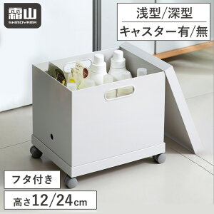 【特典付】ファイルボックス ワイド 選べるセット 浅型 深型 12cm 24cm フタ キャスター付 蓋 ふた 積み重ね ファイル A4サイズ 32cm 25cm ボックス 収納ケース 生活用品 キッチン収納 事務収納 整