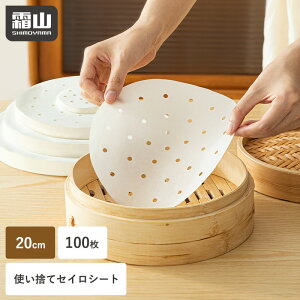 yTtzZCV[g 100 20cm uܕsgp ĝ h qI p   U  V[g pp  ی^ ɂ jɂ ψ ϋv  t