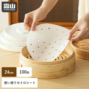 yTtzZCV[g 100 24cm uܕsgp ĝ h qI p   U  V[g pp  ی^ ɂ jɂ ψ ϋv  t