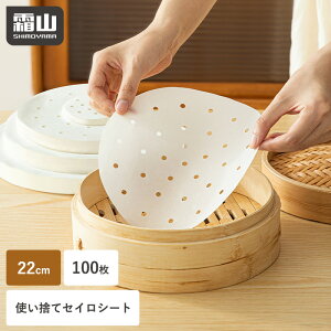 yTtzZCV[g 100 22cm uܕsgp ĝ h qI p   U  V[g pp  ی^ ɂ jɂ ψ ϋv  t