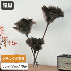【全品10％OFF 4H限定】【特典付】はたき オーストリッチ 35cm 55cm 70cm ほこり取り フェザーダスター ダチョウの羽根 羽根はたき 羽はたき ハンディワイパー ハンディモップ おしゃれ ダチョウ 羽 オーストリッチフェザー ホコリ 埃 車 照明 棚 高所掃除 霜山