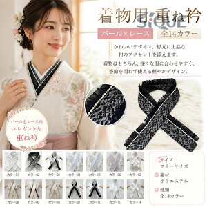 重ね襟 着物 レース の人気商品一覧・価格比較 - 価格 com