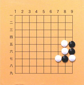碁盤　携帯用バッグ付解説マグネット9路盤囲碁セット（日本棋院）