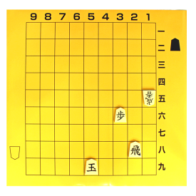 将棋用品　携帯用バッグ付　将棋用教授盤駒付きセット（New将棋塾）