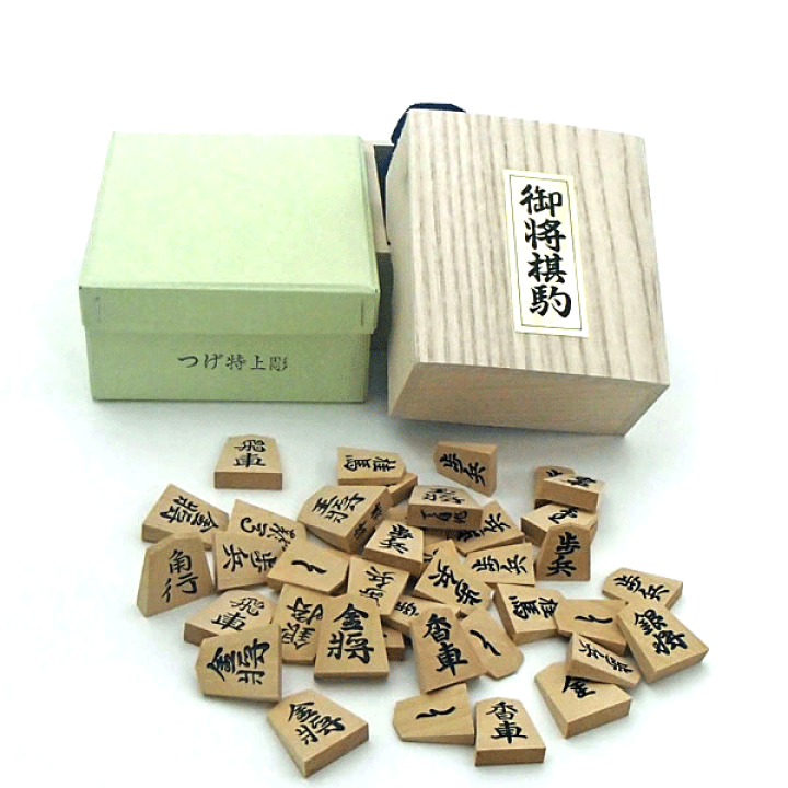ほくと第45〜49号 北辰会 5冊セット ほくと第45〜49号 北辰会 5冊セット 健康・医学