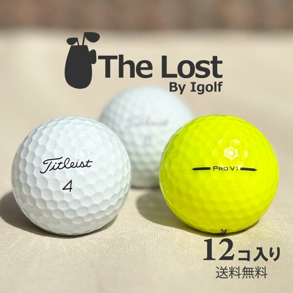 ゴルフボール ロストボール TITLEIST タイトリスト Pro V1 2025年モデル ★★★ランク 1ダース 中古 ゴルフ 送料無料