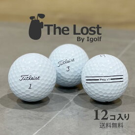 ゴルフボール ロストボール TITLEIST タイトリスト Pro V1 AIM Enhanced エイムエンハンスド 2025年モデル ★★★ランク 1ダース 中古 ゴルフ 送料無料