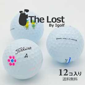 【今だけ+3球】訳あり ゴルフボール ロストボール TITLEIST タイトリスト Pro V1 年代混合 マジックボール 1ダースセット（12球入り） ゴルフ 中古 激安 送料無料