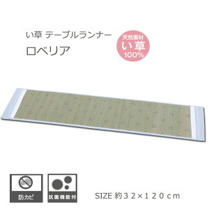 yX[p[Z[10%OFFN[|z C e[ui[ 킢 a  Mtg v[g i` AWA xA  32×120cm u[ F 