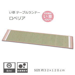 C e[ui[ 킢 a  Mtg v[g i` AWA xA  32×120cm [Y sN 