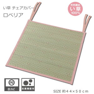 yubNtCf[10%OFFN[|z ֎qJo[ Jo[ Ȃ Rt i` 킢  Mtg v[g xA `FAJo[ [Y  44×50cm sN