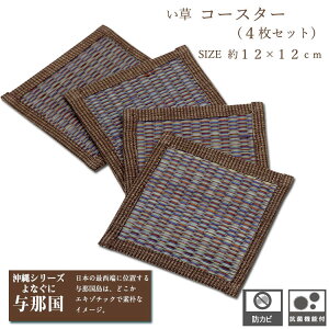 y11/3010%OFFN[|z R[X^[  O[  12×12cm 4  a  AWA ^ߍ C [