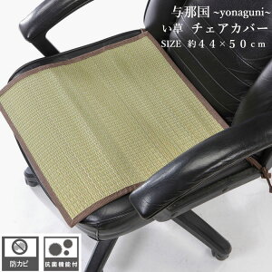 ֎qJo[ Jo[ Ȃ Jo[ ^ߍ `FAJo[ O[  44×50cm