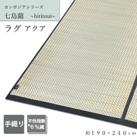 【3/30・3/31は全品P10倍】 い草 カーペット い草ラグ 和モダン ラグ アジアン アクア 190×240cm 3畳 3帖 カンボジア ハンドメイド ひんやり