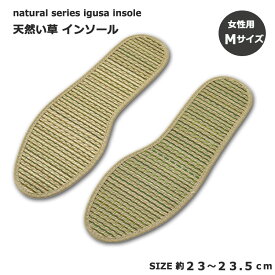 楽天市場 蒸れない 中敷きの通販 楽天市場 蒸れない 中敷きの通販