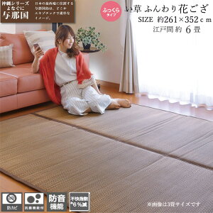 【10/30限定10%OFFクーポン】 い草 ラグ マットレス 与那国 約 261×352cm 江戸間 6畳 3枚合わせ 防音 裏面 不織布 裏貼 加工 抗菌 防カビ カーペット ウレタン入り ブラウン 天然素材 敷物 センター