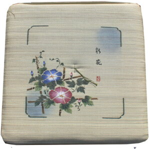 zcwʉԁx a_  a zc NbV  q ̓ hV̓ ĂȂ