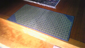 �������փ}�b�g�w���̗t�x��70x120cm