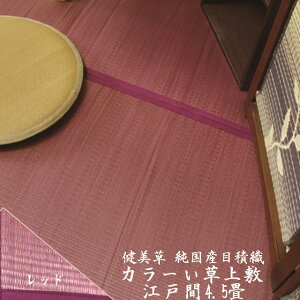 �y���O�z�y�]�ˊ�4.5��z�y���������E�F�������Ȃ��J���[�S�U�z�J���[������~���u�������v���b�h�@261×261cm�y���������z�i�֓��ԁE�c�ɊԁE�ܔ��ԁj�y10P03Dec16�z