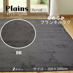 HE~pJ[ybg 200×240cm n O v[Y }bg ~ zbgJ[ybgΉ ~ mXbv E^ ΍ ` x[W ubN uEykC