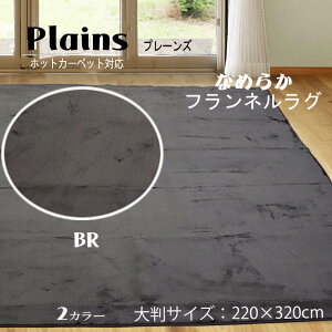 HE~pJ[ybg 唻 220×320cm n O v[Y }bg ~ zbgJ[ybgΉ ~ mXbv E^ ΍ ` x[W uE@ykCA