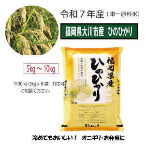 福岡県産 ヒノヒカリ」の人気商品一覧・価格比較 - 価格.com