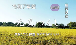 2025NY@Y@ ā@100wCx5kg@10kg Е ߂Ă