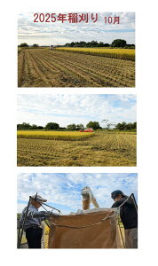 2025NY@ ā@100wЂ̂Ђx5kg@10kg ЎY