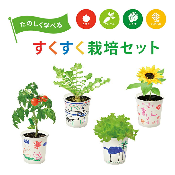 楽天市場】【お得なクーポン配布中☆】 ギフト すくすく栽培セットBOX 
