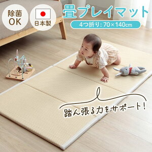 y~xxN[|zzz vC}bg ܂肽   xr[  Ԃ xr[}bg NbV }bg oYj nCnC u vC}bg v {  y 2cm 