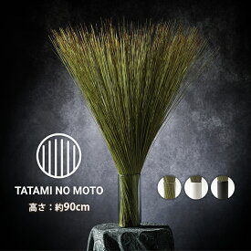 【スーパーセール開催中♪】 観葉植物 セット インテリア TATAMI NO MOTO 高さ50cm 畳のもと い草 畳 たたみ ござ オブジェ 置物 おしゃれ ディフーザー 調湿 消臭 和風 大きい イ草 消臭 天然 ナチュラル 植物 自然素材 エコ たたみのもと