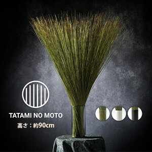 ϗtA Zbg CeA TATAMI NO MOTO 90cm ̂     IuWF u  fBt[U[  L a 傫 C L VR i` A Rf GR 