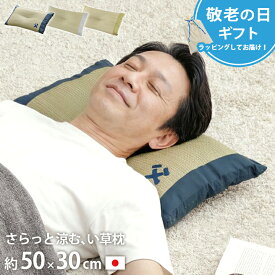【10月限定★LINE300円OFFクーポン】父の日 プレゼント 実用的 父の日ギフト 畳枕 父の日 ギフト い草 枕 低反発「 おとこの枕 くぼみ 平枕 無地 」 50×30cm 日本製 夏用 親父の場所 い草枕 60代 70代 80代 50代 快眠 お昼寝 い草まくら 男性
