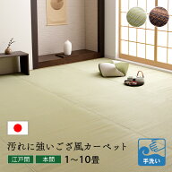 【限定★20％offクーポン★配布中】カーペット ござ 洗える ペット対応 洗える オールシーズン ゴザ マッ…