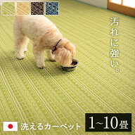 ラグ 洗える ござ ゴザ マット 1畳 2畳 3畳 4.5畳 6条 8畳 10畳 ペット対応 夏用 カーペット 夏ラグ 防ダ…