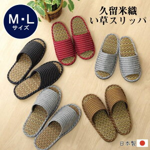 y~xxN[|zzz Xbp q    C Ȃ L { u vĐD Xbp  v M L TCY 5F Y fB[X  OJ COT  