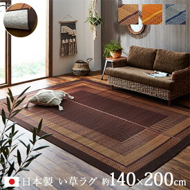 ござ おしゃれ い草ラグ ラグマット 夏用 自然素材 「 DXランクス (裏不織布付き) 」 約140×200cm 畳 カバー ラグ い草 い草カーペット カーペット 和モダン 和室 洋室 掃除しやすい イケヒコ エコ